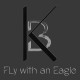 Kurt Bergt - Fly with an Eagle